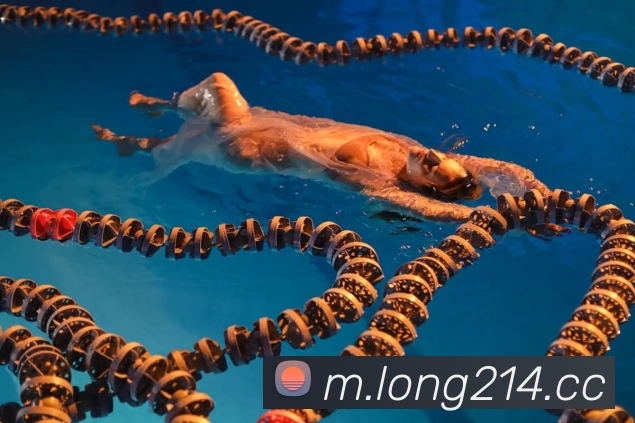 龙8-long8(国际)官方网站平台生态图