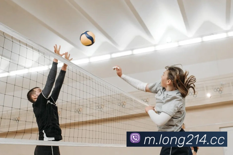体育App 体育App